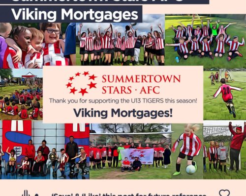 #11. Viking Mortgages Sponsors the U13 Tigers at Summertown Stars